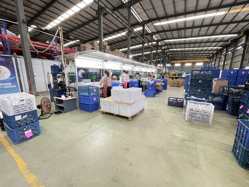 Quanzhou Twenty One Import and Export Trading Co., Ltd manufacturer production line