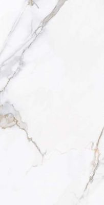 Zeus Ares Porcelain Glass Glazed Ceramic Floor Tile 600*1200/Mm²