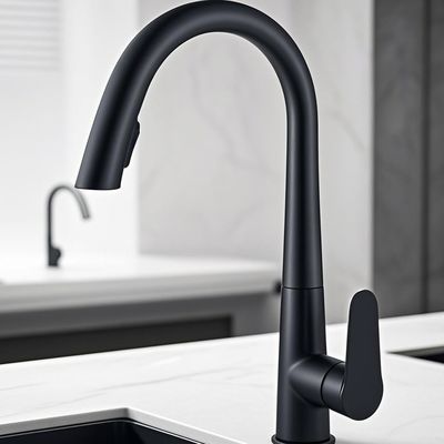 Barss Bright Black Single Handle Kitchen Faucet Pull Down Special Surface Treatment
