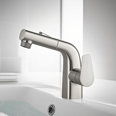 Contemporary Single Handle Stainless Steel Taps / Pull Out Bathroom Faucet