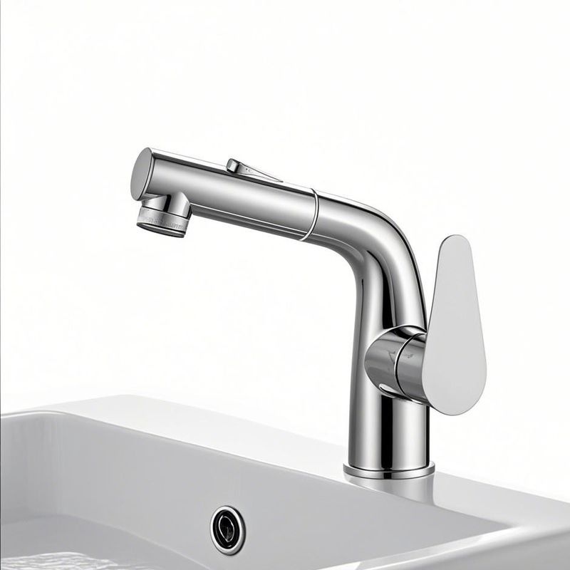 Stainless Steel Single Handle Basin Faucet Pull Out Taps Polished